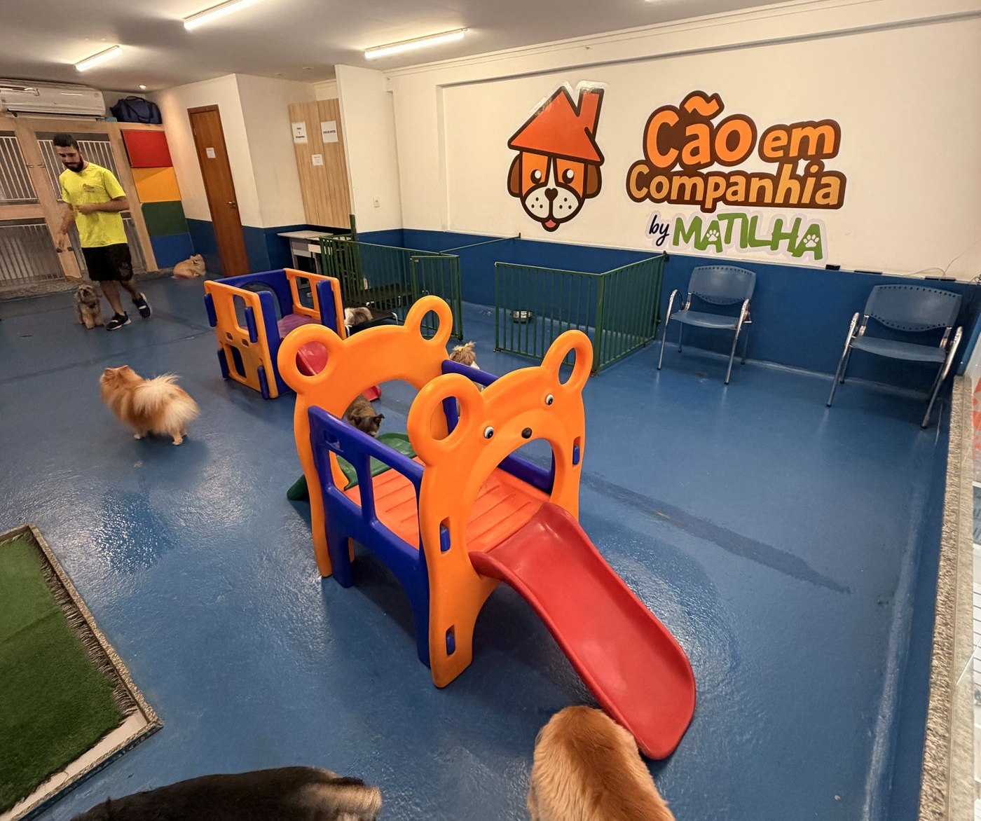 Área de creche da Cão em Companhia by Matilha, em Águas Claras