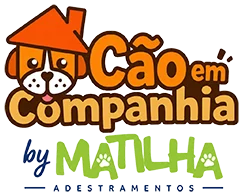 Cão em Companhia by Matilha