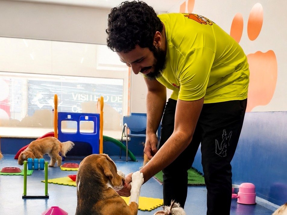 Monitor da Cão em Companhia interagindo com os cães durante o dia de creche